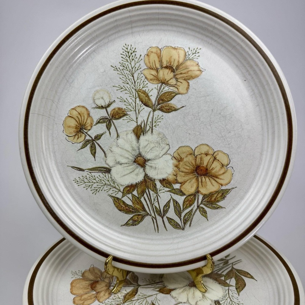 Town & Country Mill Run Brown Band White Floral- 10-5/8" DINNER PLATE - Picture 2 of 4
